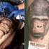 Tatuaje Cara del gorila súper realista