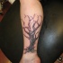 Un arbre fort le tatouage sur la cheville