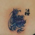 Tatuaje el pez azul con unos jeroglíficos