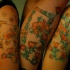 Coquelicot le tatouage sur le bras