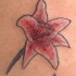 asiatico elegante fiore rosa tatuaggio