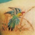 Tatuaje en el hombro, ave en la hierba