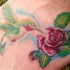 Tatuaggio colorato il colibrì & la rosa