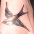 Tatuaggio la rondine che vola