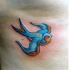 piccolo uccello blu volante tatuaggio