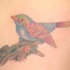 uccello realistico sul albero tatuaggio