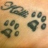 Le tatouage de prénom d'animal avec des empreintes de pattes