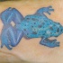 Tatuaje de rana azol con manchas en espalda