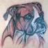 tatuaje colorido de perro boxer