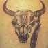 cranio toro con piuma tatuaggio
