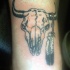 cranio toro con una piuma tatuaggio