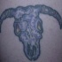 vecchio cranio toro tatuaggio