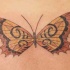 grande farfalla tatuaggio opera d'arte