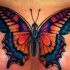 farfalla gialla e  blu bellissima tatuaggio