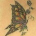 Le tatouage de papillon Monarque sur les petits fleurs