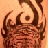 Tiger auf Tribal Tätowierung