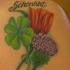 tatuaje en color de trébol, cardo y tulipán
