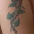 Le tatouage de rose autour de poignard