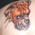 tatuaje en el hombro de colorido perro boxer