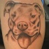 pitbull con lingua fuori tatuaggio