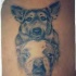 tatuaje de Collie y bulldog