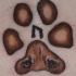 impronte con occhi di cane tatuaggio