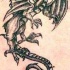 drago inchiostro nero tatuaggio