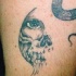 Tatuaje de la imagen de calavera con ojo humano
