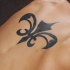 Le tatouage de fleur de lys tribal sur le dos