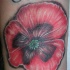 Le tatouage de poignet avec un coquelicot avec des inscriptions