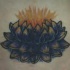 Tatuaje lotus negro