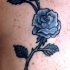 Tatuaje rosa color azul