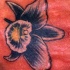 Tatuaje de una flor exótica