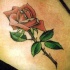eccezionale rosa rossa tatuaggio