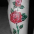 tatuaje elegante de clásica rosa roja