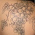 Uvas grandes tatuaje en el omoplato