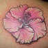 tatuaje suave de flor de hibisco rosa