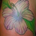 tatuaje suave de hibisco rosa