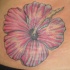 tatuaje elegante de flor rosa de hibisco