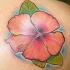 Le tatouage réaliste d'hibiscus d'eau