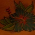 tatuaje de la flor azul de hibisco