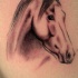 Le tatouage du portrait de cheval