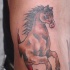 Le tatouage de cheval de la déchirure de la peau