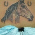 Le tatouage de la tête de cheval et deux fers à cheval