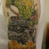 Le tatouage d'ork vert sur un hot rod en couleur
