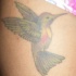 tatuaje pálido de colibrí verde