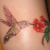 Tatuaje de un colibrí comiendo el néctar de la flor