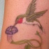 colibri verde con fiore riccio tatuaggio