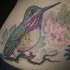 Tatuaje de un colibrí realistico en una rama de sakura
