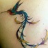 tatuaje de colibrí con cola larga
